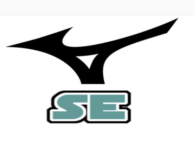 Mizuno SE Johnson Logo